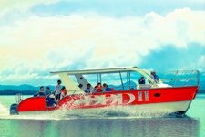 Best Samana Whale Watching Excursions from Las Galeras.